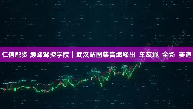 仁信配资 巅峰驾控学院｜武汉站图集高燃释出_车友绳_全场_赛道